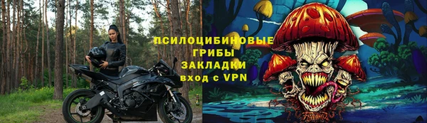 СК Горно-Алтайск