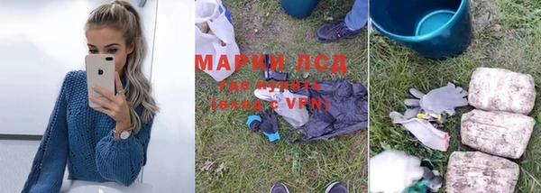 гидра Вязники