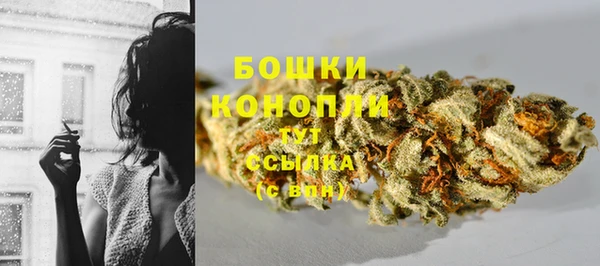 гидра Вязники