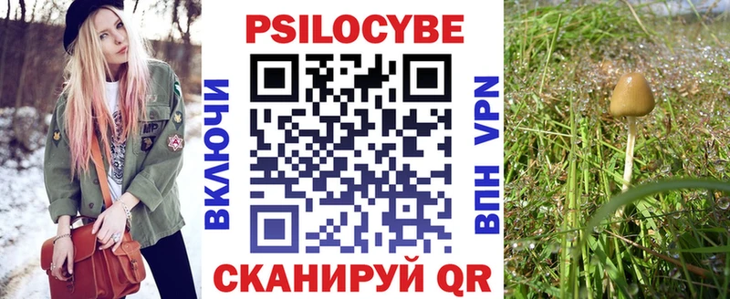 Псилоцибиновые грибы Cubensis  Мончегорск 