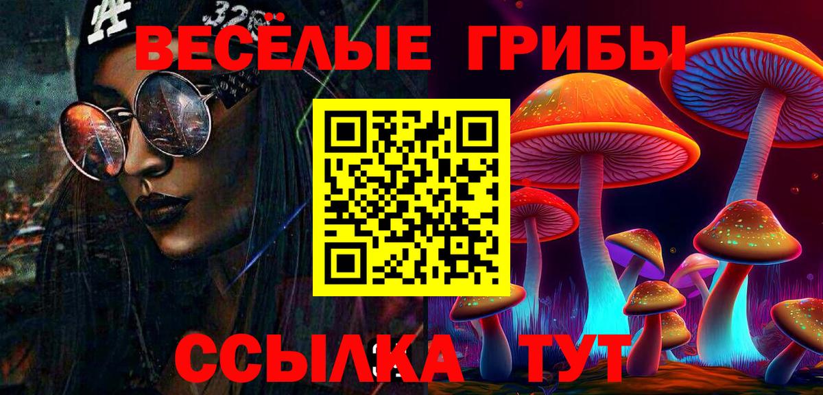 Псилоцибиновые грибы прущие грибы Мончегорск