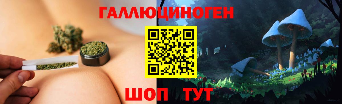 Мончегорск  Псилоцибиновые грибы GOLDEN TEACHER  Вход с VPN 